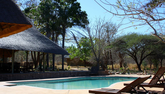 kubu safari lodge kruger national park