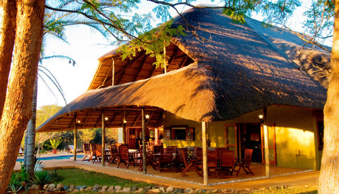 kubu safari lodge kruger national park