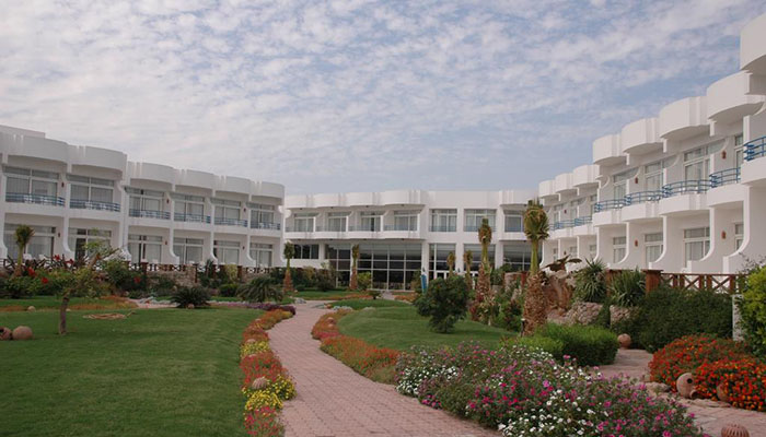 QUEEN SHARM | Volonline