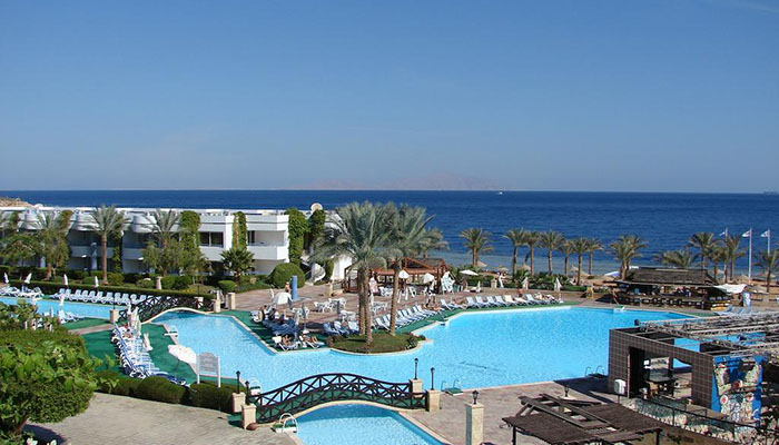 QUEEN SHARM | Volonline