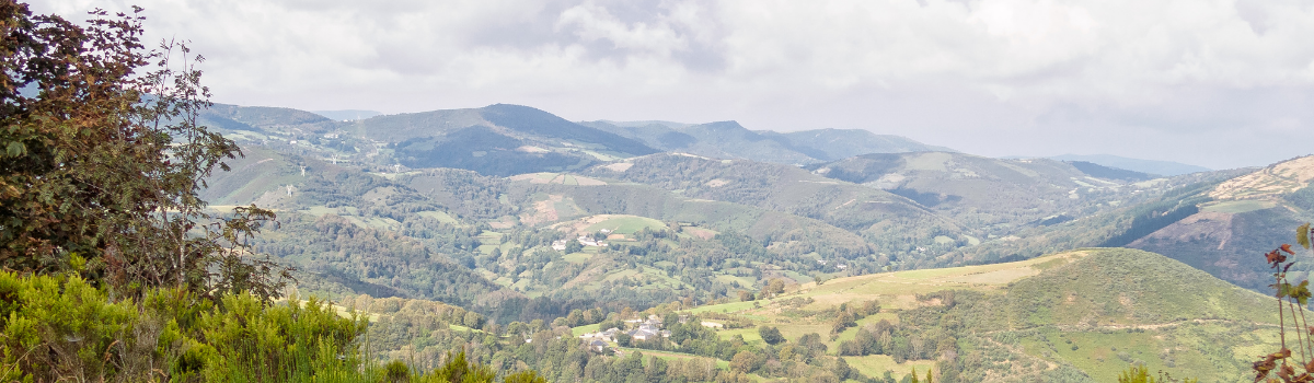 O’CEBREIRO